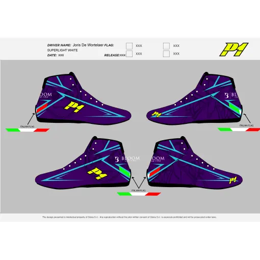 P1 Raceschoen FIA Customised
